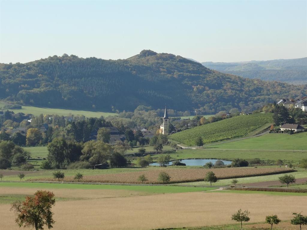 Weingut-Ferienwohnung Jungblut - nur Urlaubsgäste