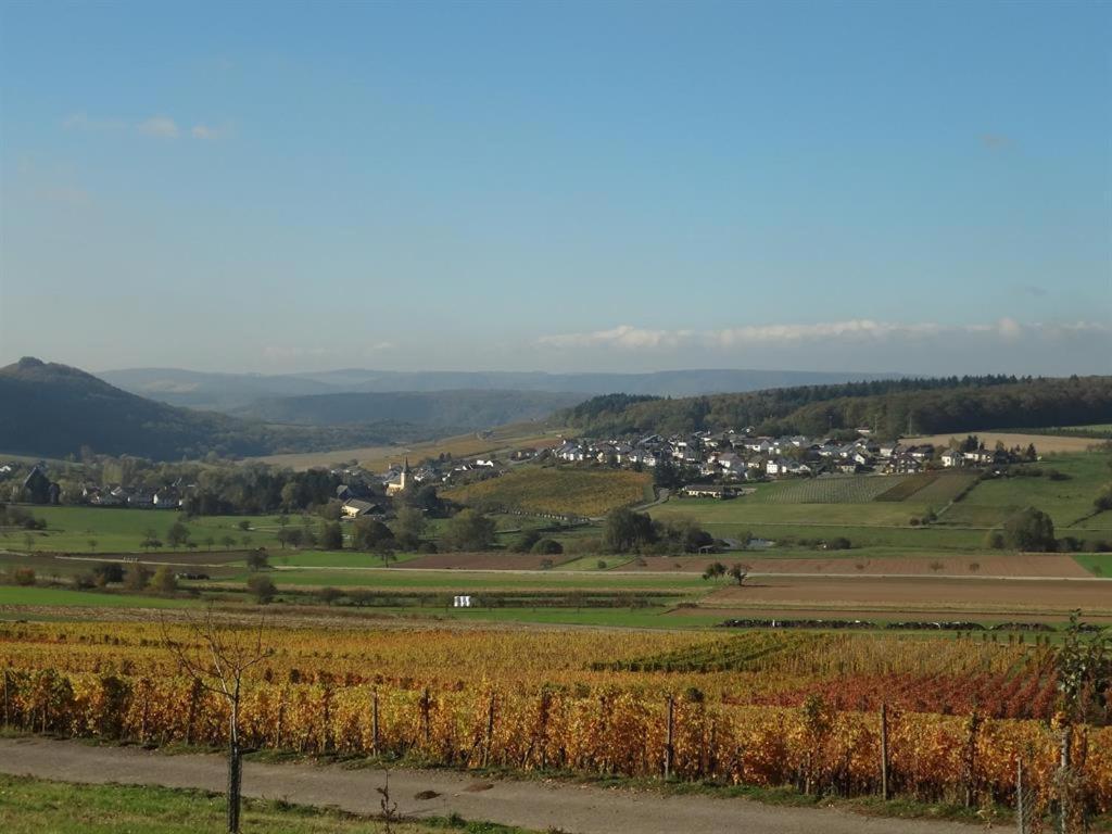 Weingut-Ferienwohnung Jungblut - nur Urlaubsgäste