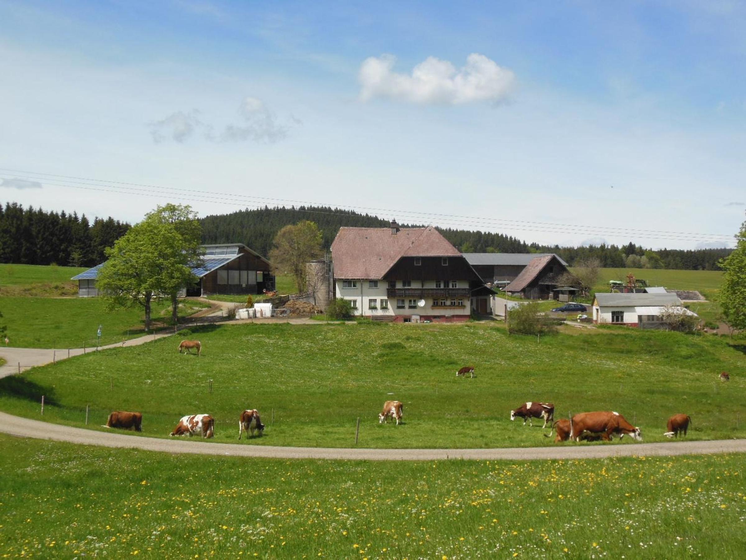 Zuckerbauernhof Unterkunft mit Hund