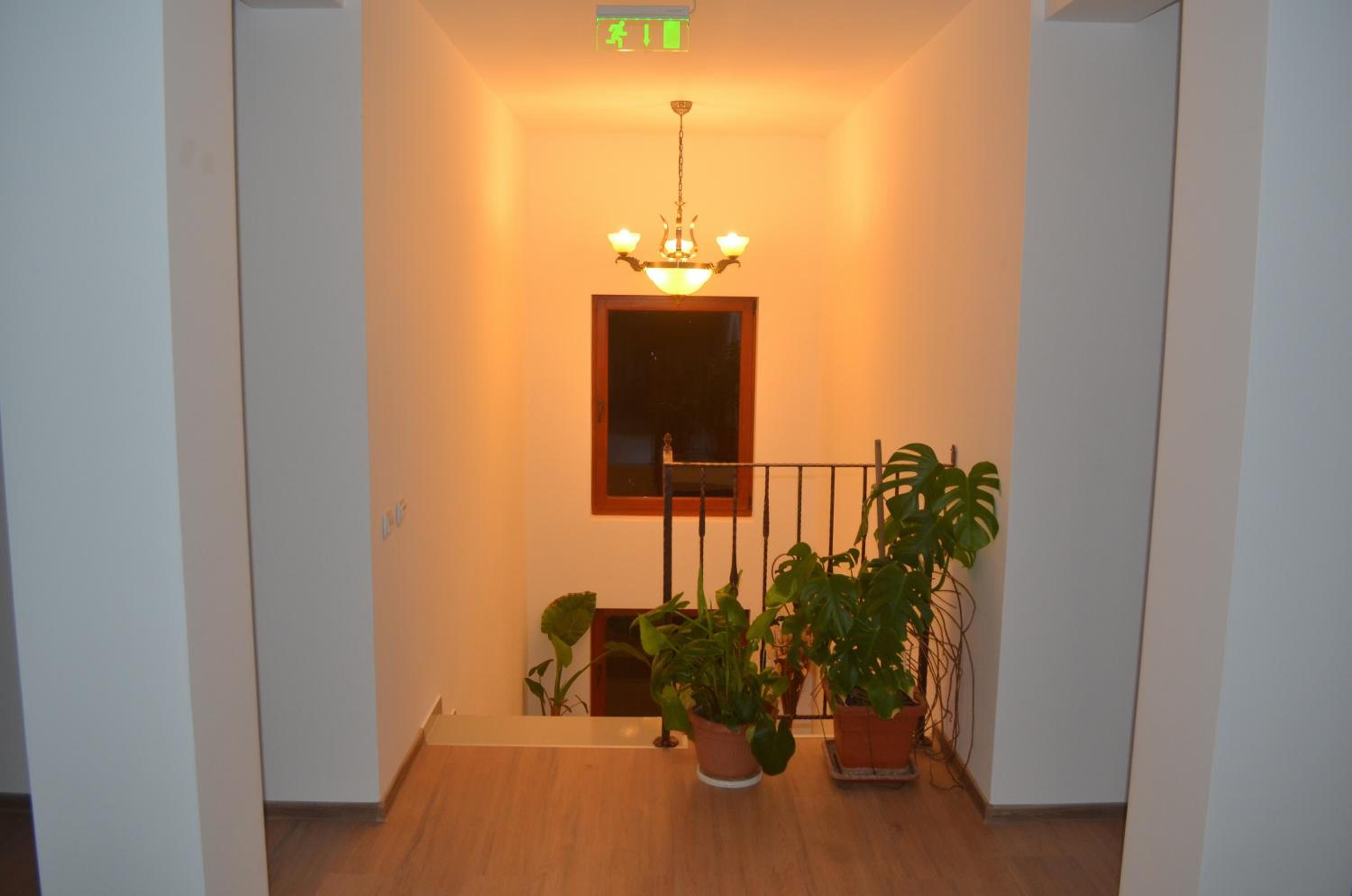 Photo 52
