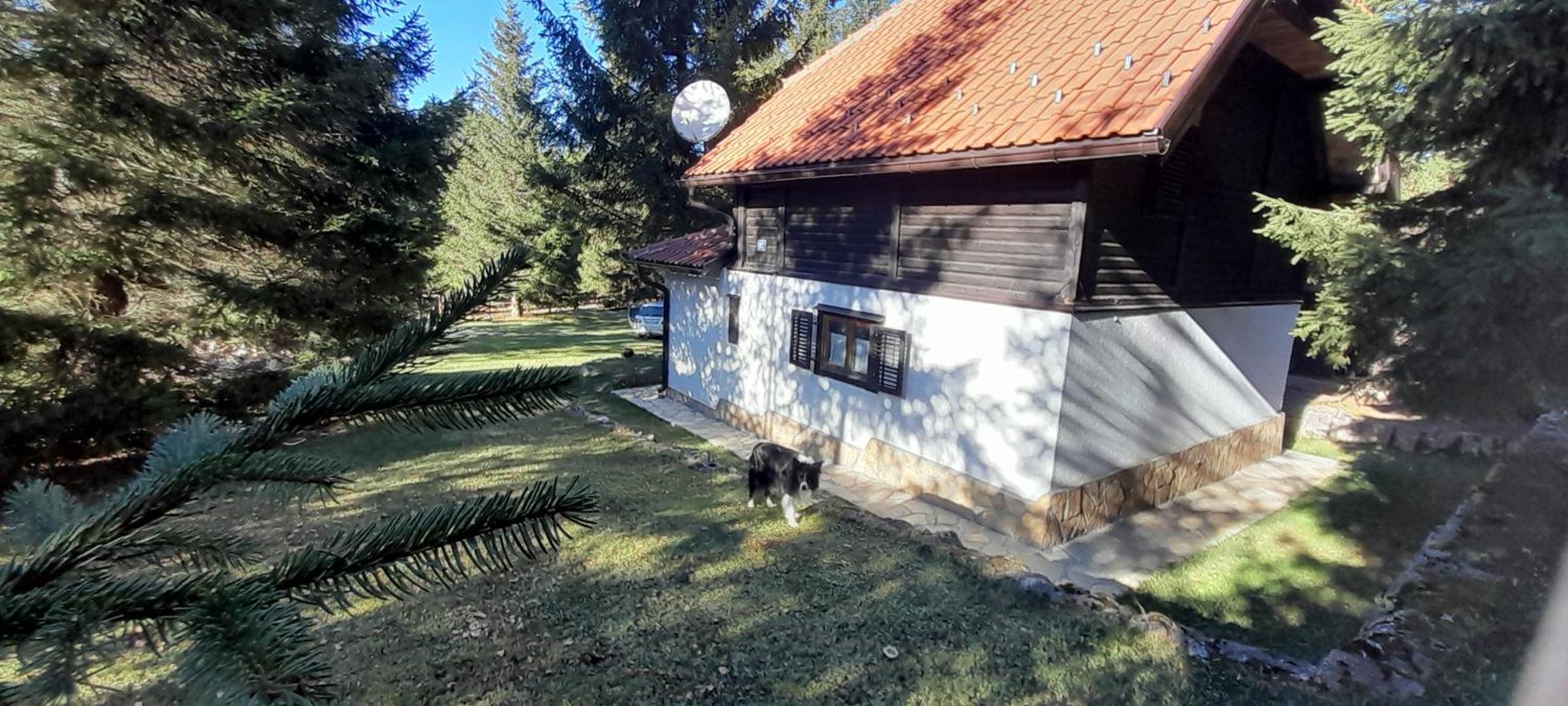 Photo 27