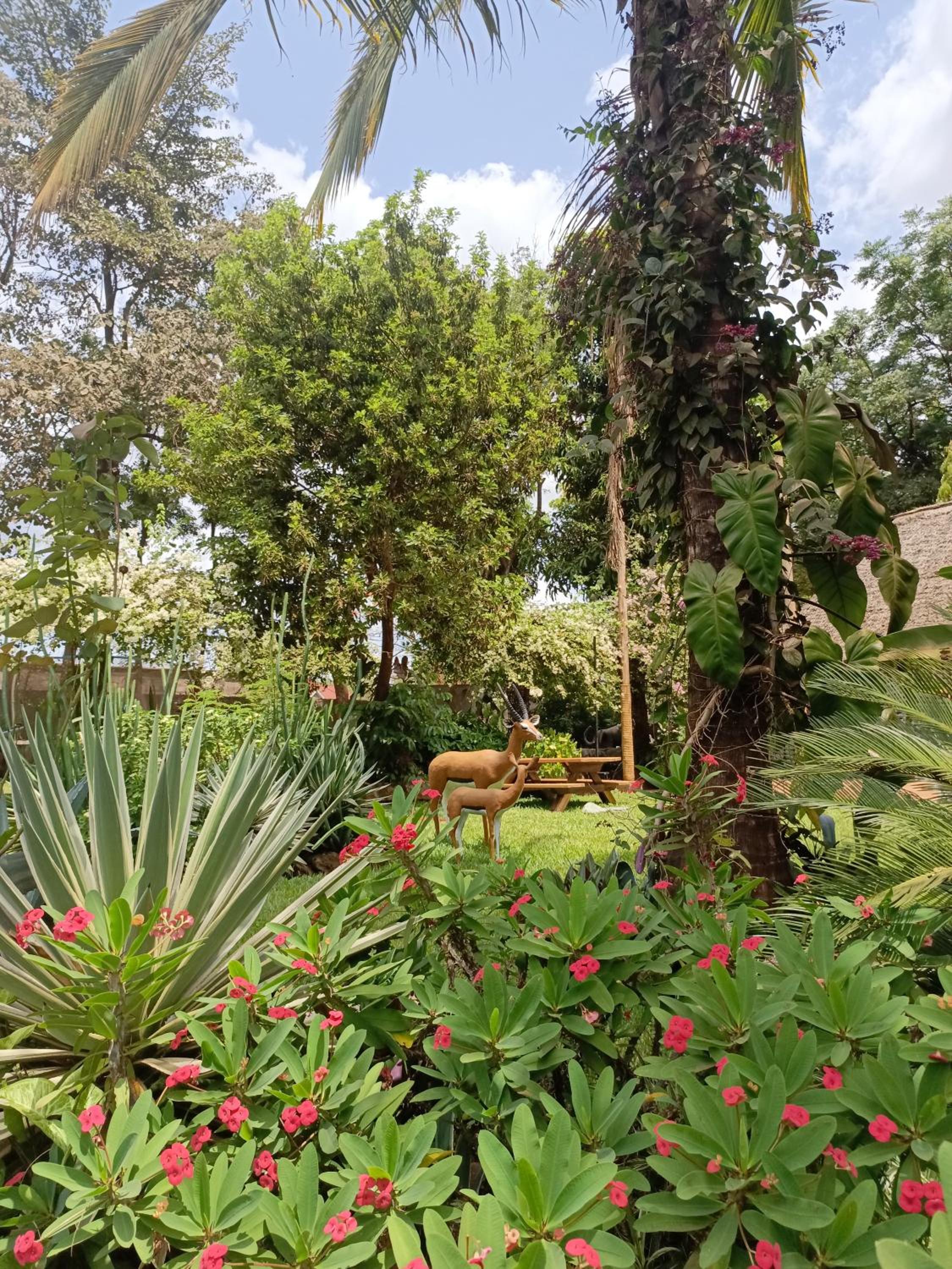 Rudi House