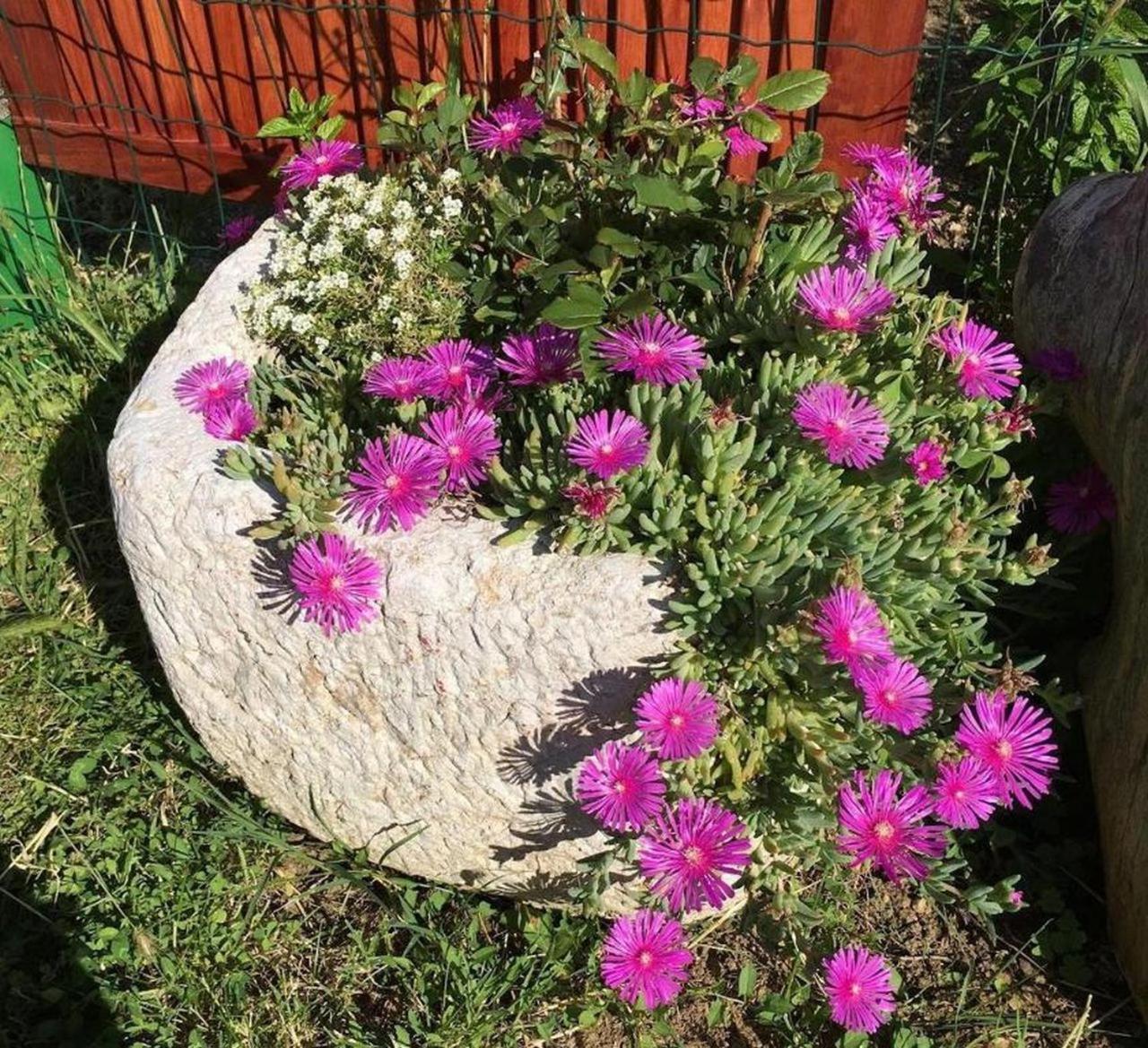 Photo 44