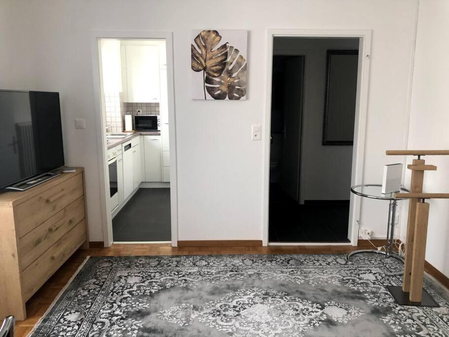 Bright and quiet studio in the city center - Sky1