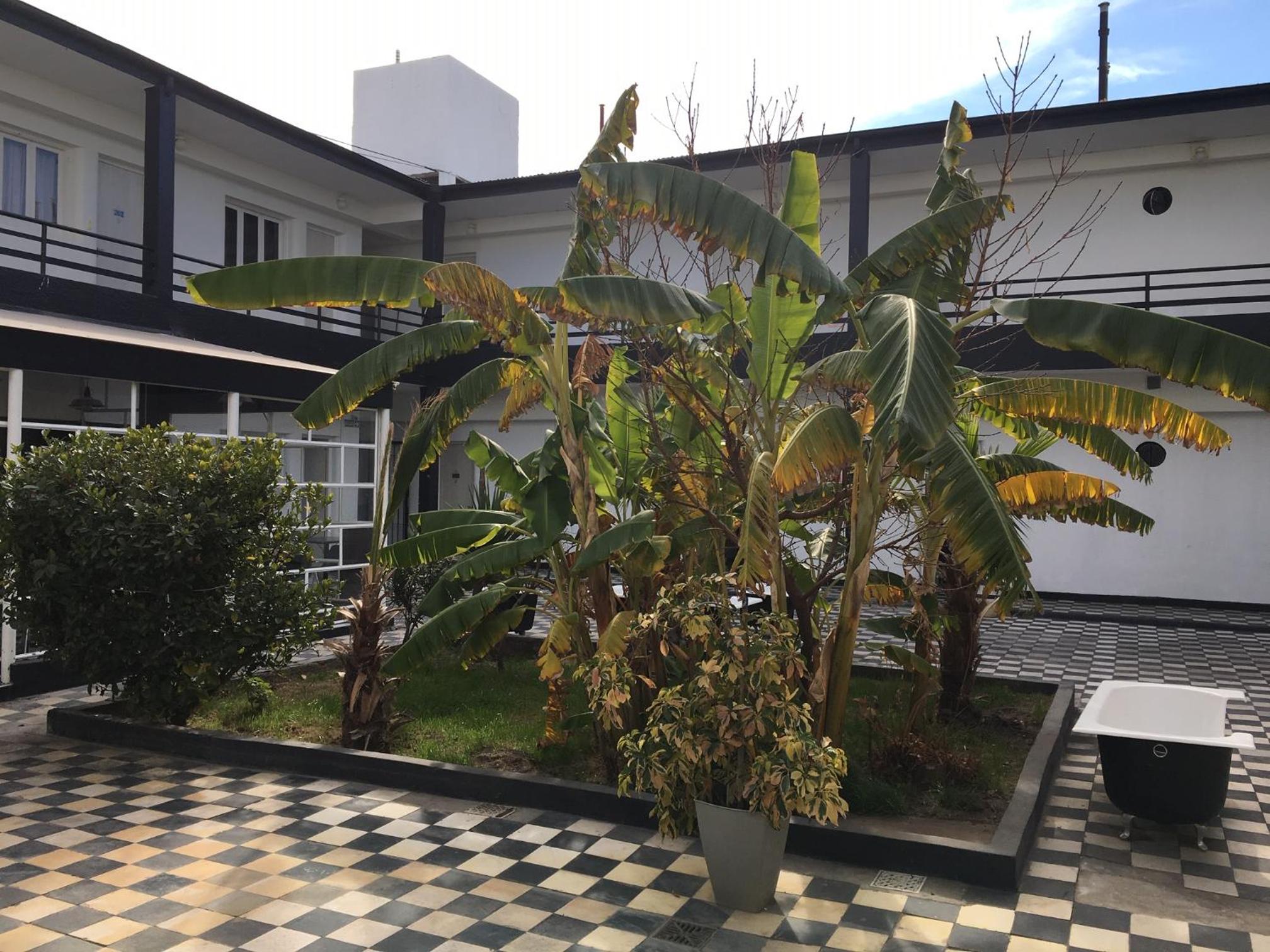 Hotel Rex