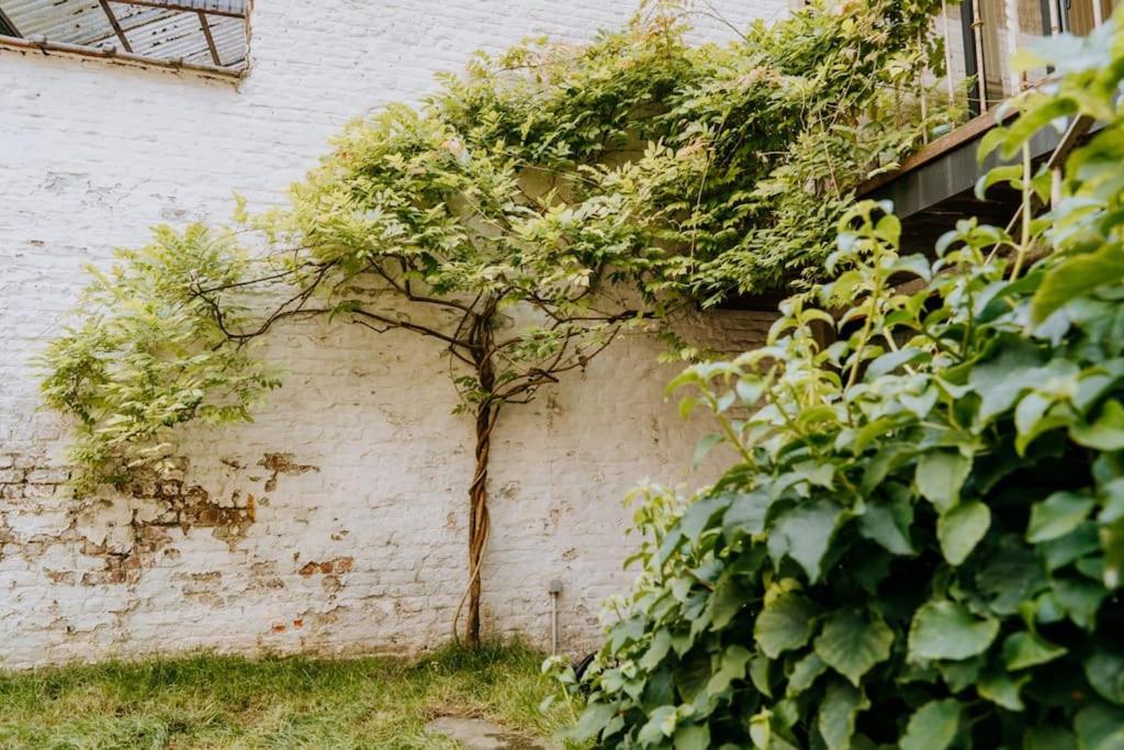 Beautiful 2 bedroom duplex in le Châtelain