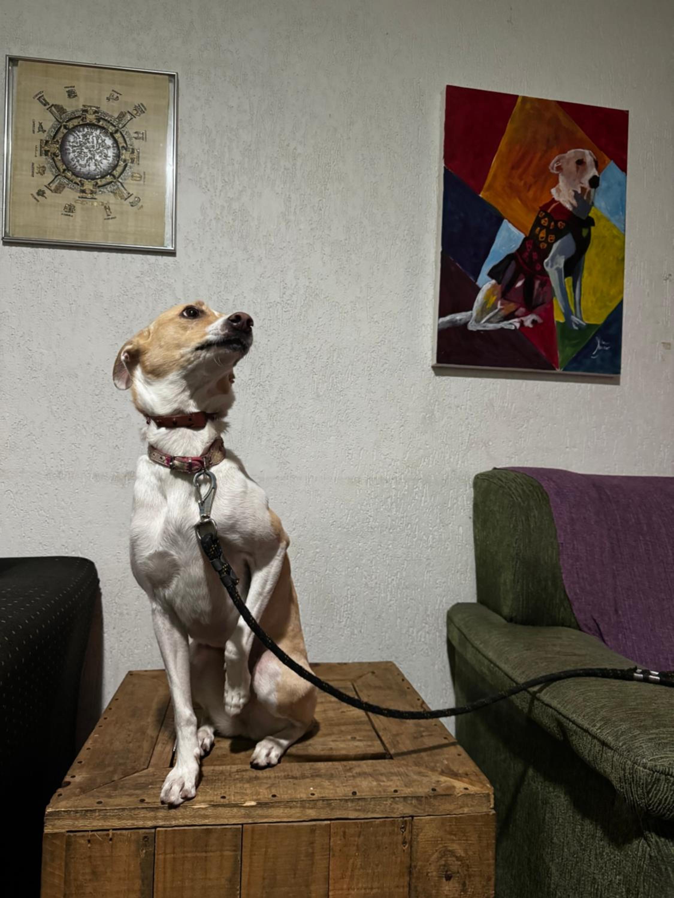 Nomade In Arte e Hostel São Paulo