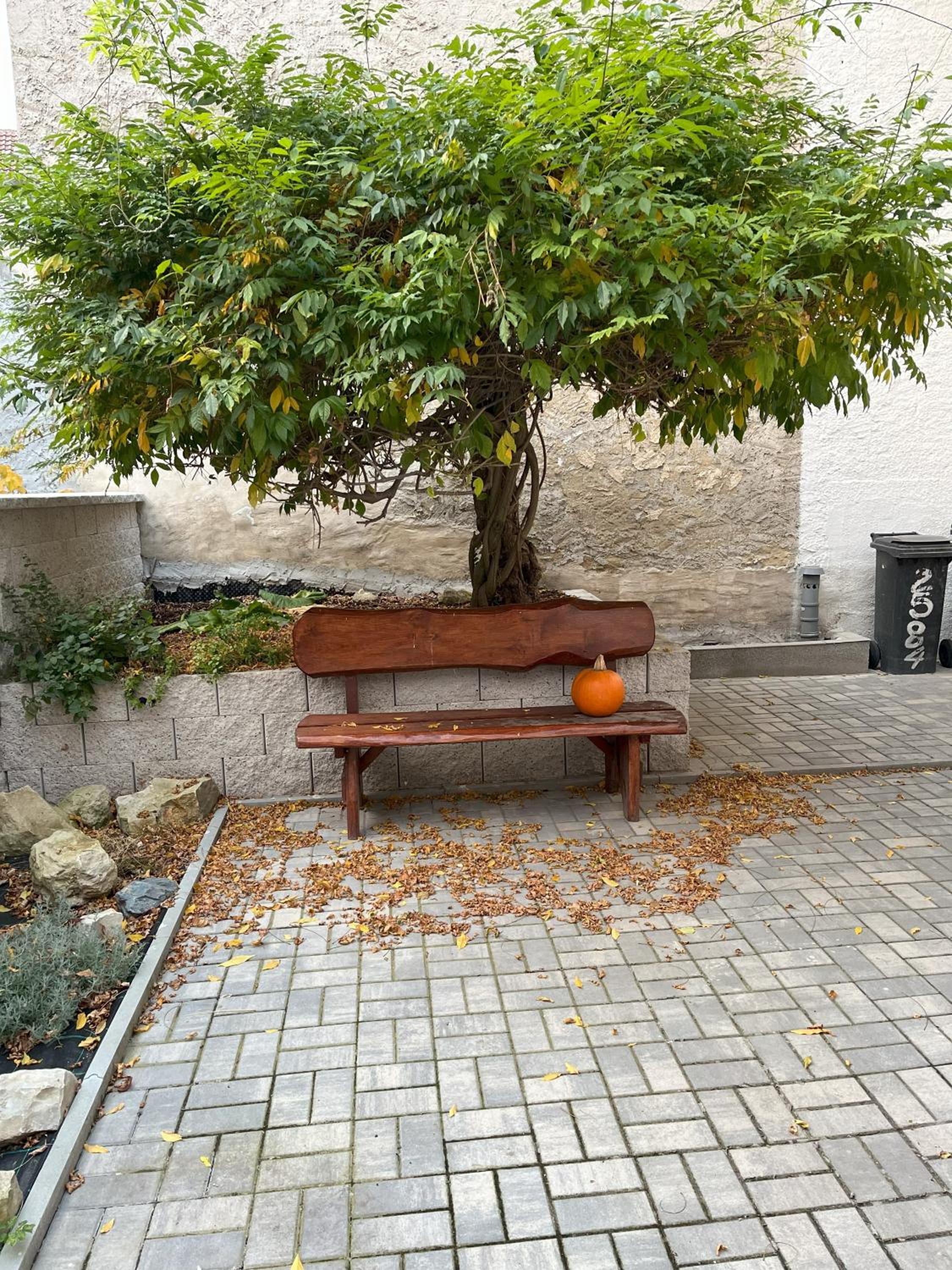 Apartmán MUV