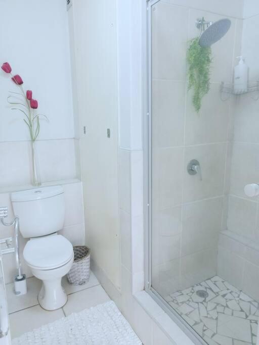 Westpoint Apartments Your Urban oasis