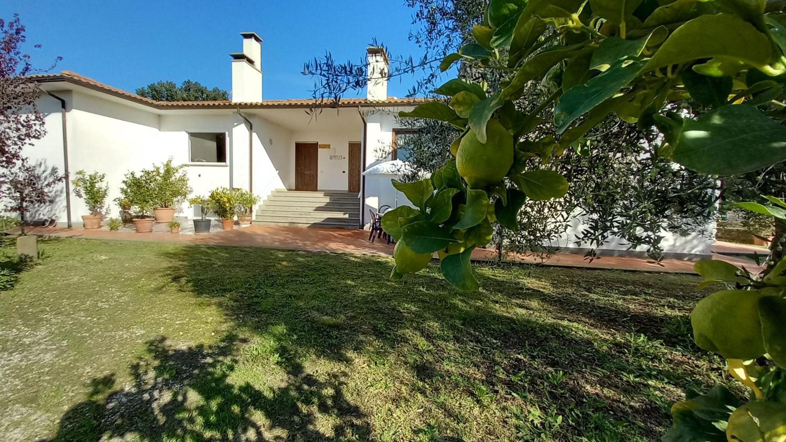 Casa nell'uliveto view 2