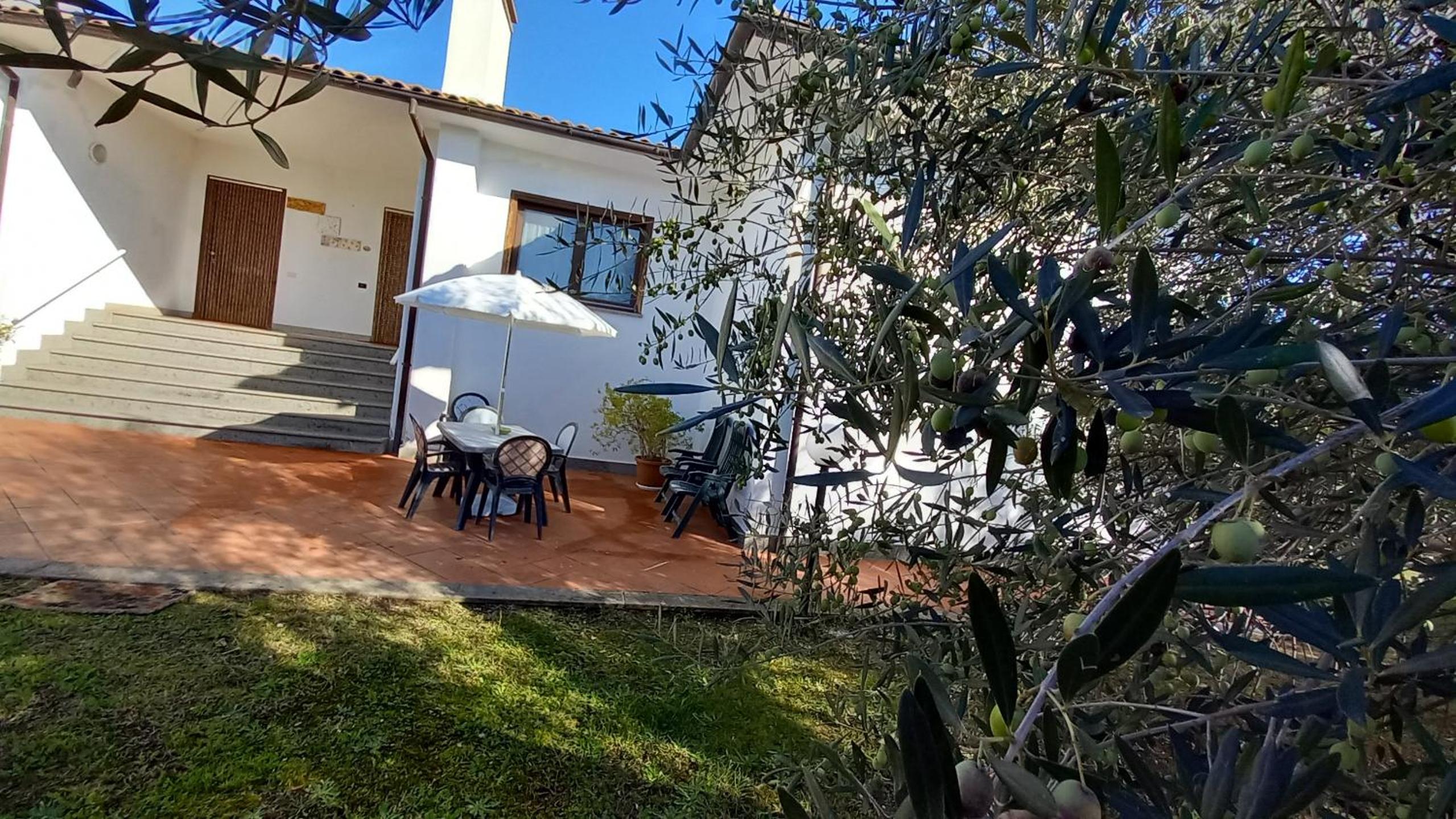 Casa nell'uliveto view 3