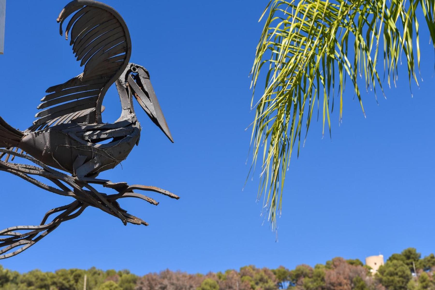 Casa Pelican