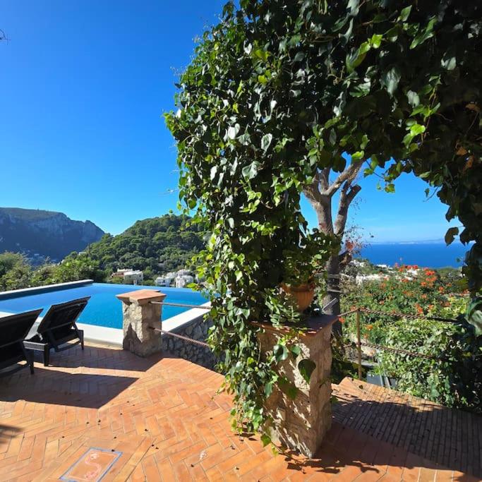 Casa Infinito photo 5