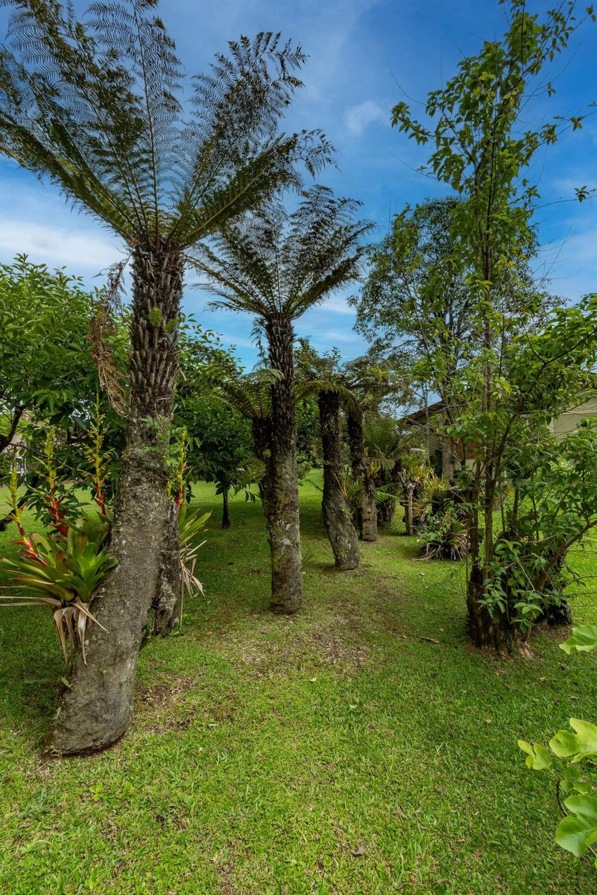 Rosa Casa Sereno 5 suítes
