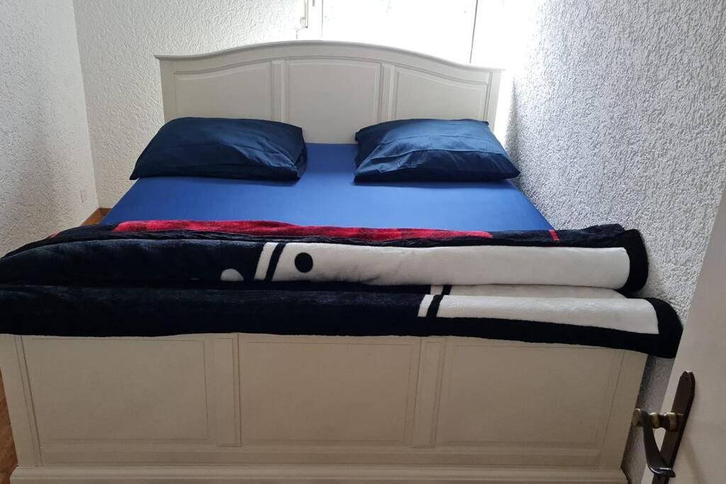 1 Beautiful Room in an 3-Bed-Room-Appart
