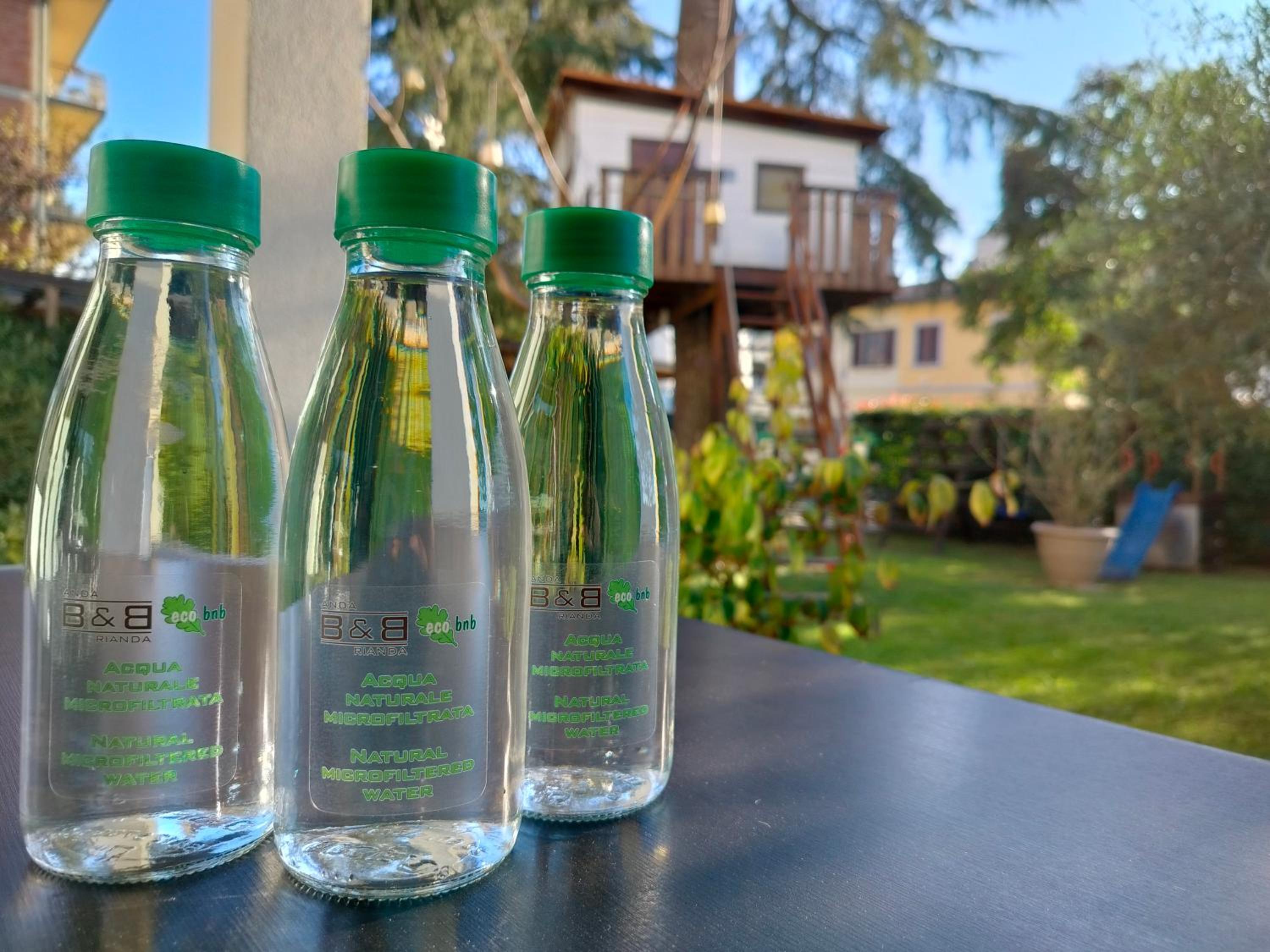 Anda e Rianda - Image 2