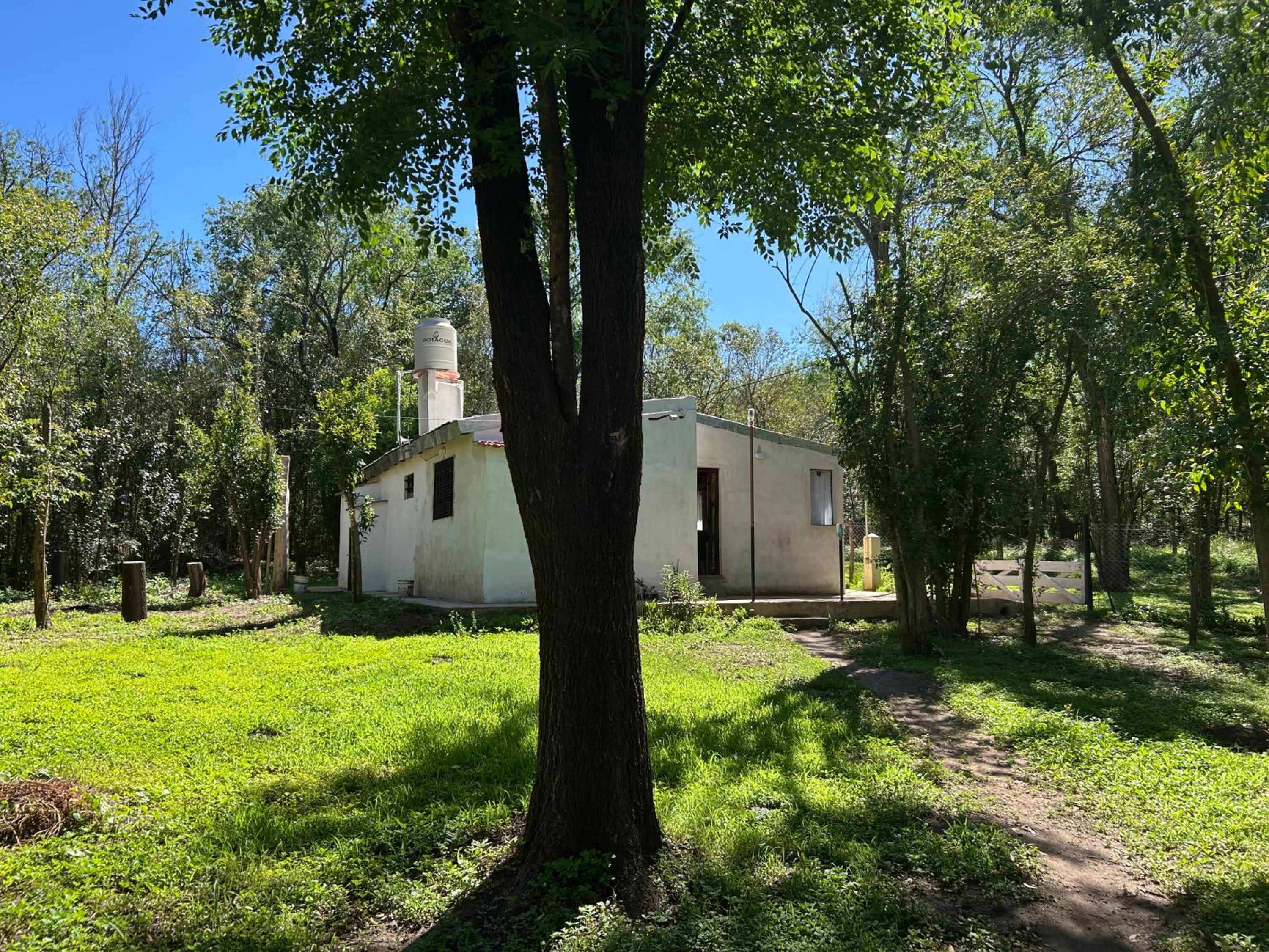 La Estancia - Molinari