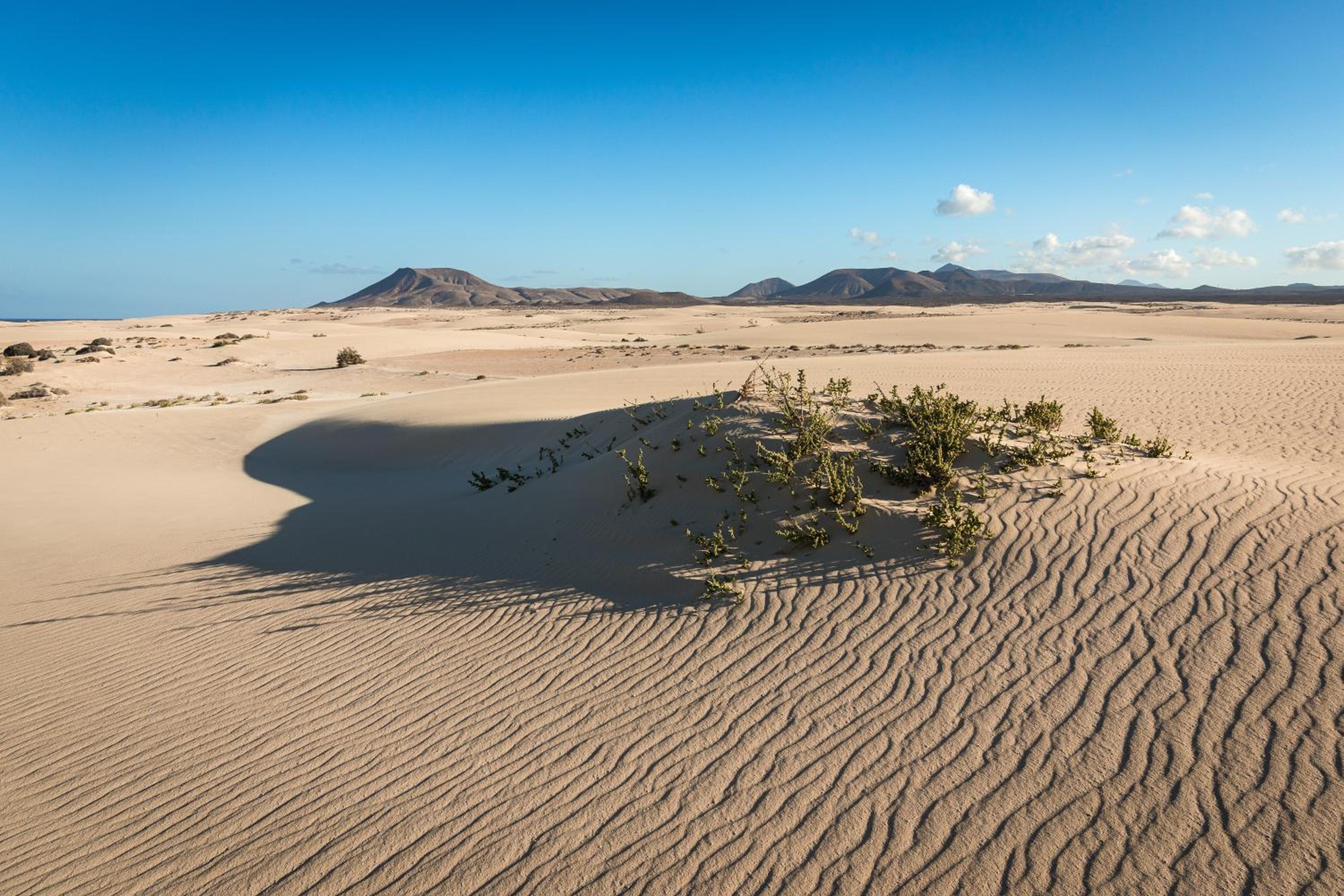 Acoran Beach Corralejo by Sea You There Fuerteventura