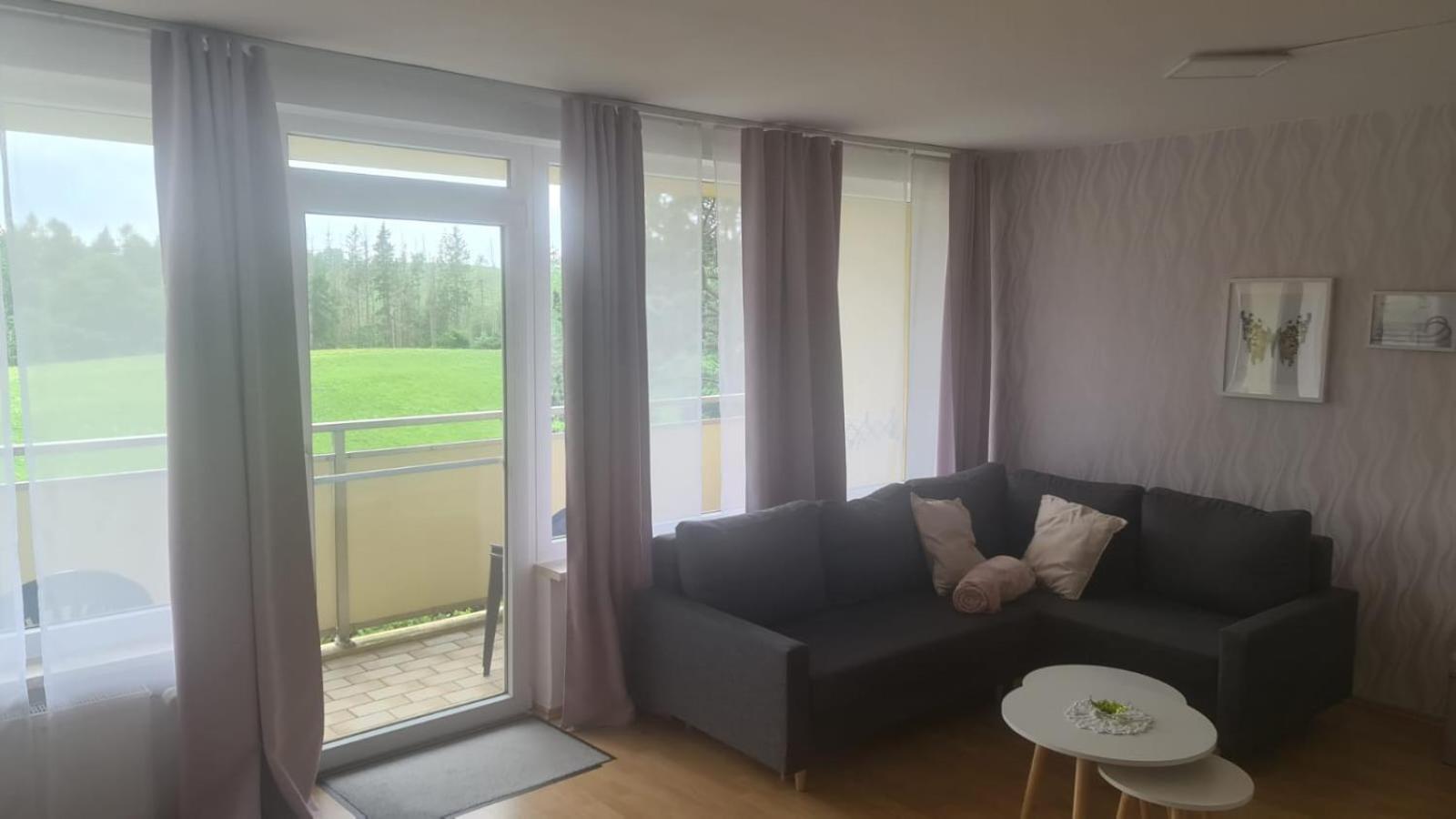 Hohegeiß-Braunlage-Apartment 374