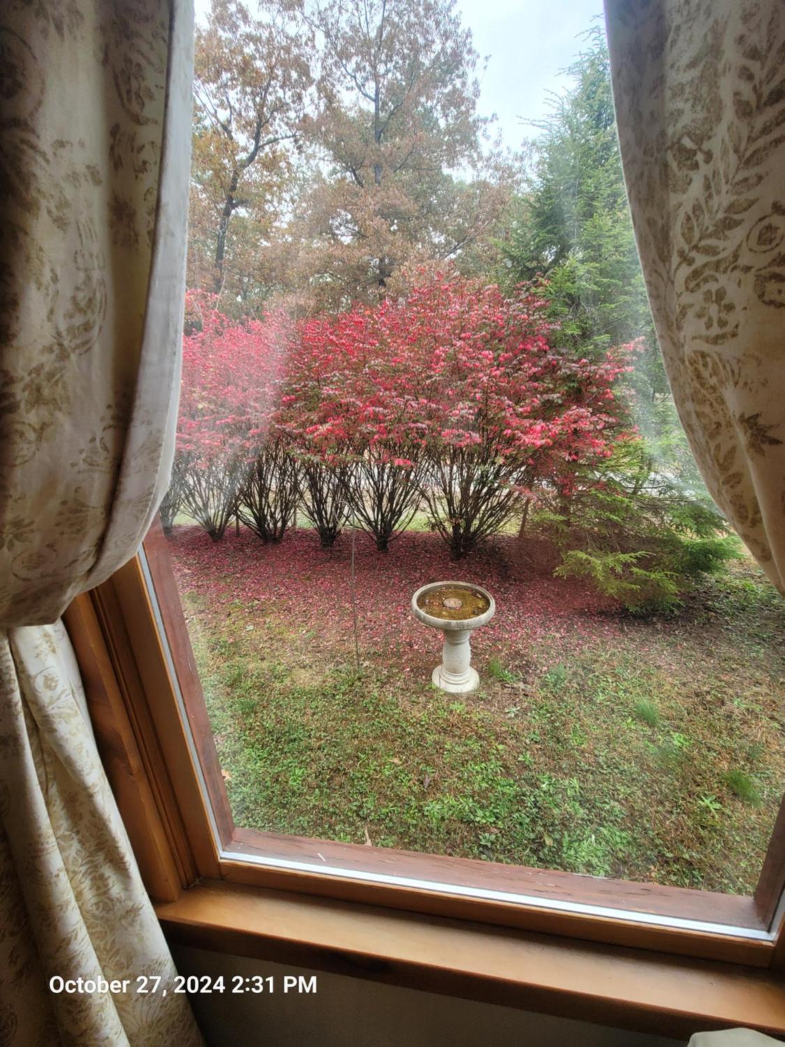 Spartanburg Vacations - Get-away Cabin - Property Image 5
