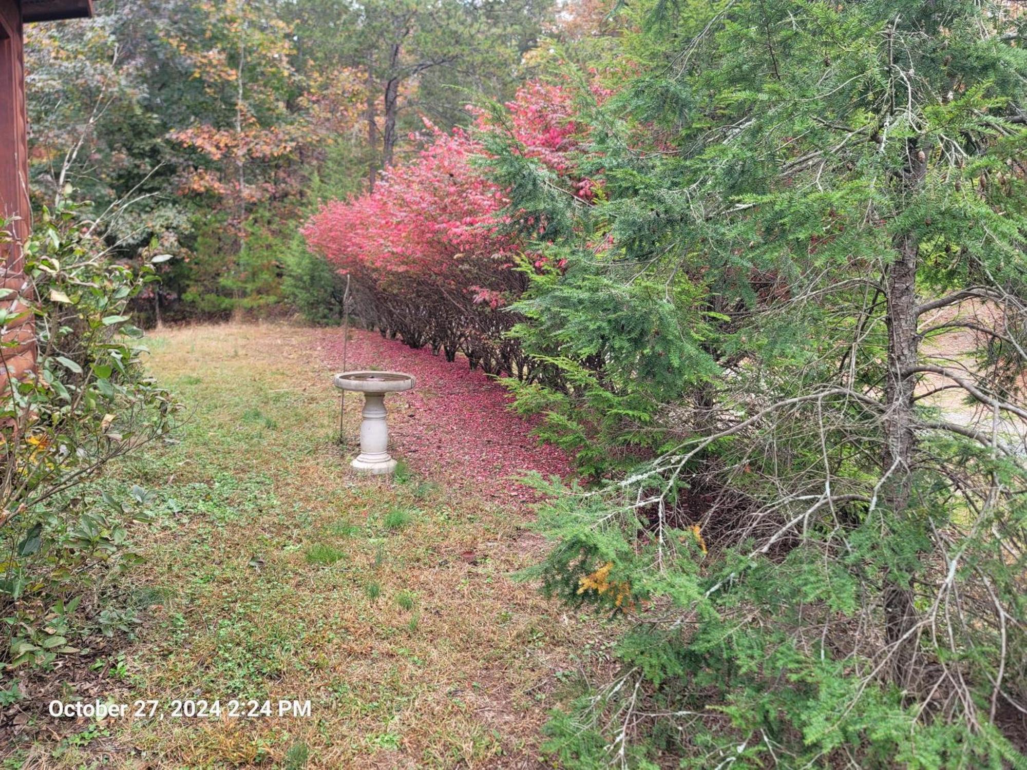 Get-away Cabin - Property Image 1