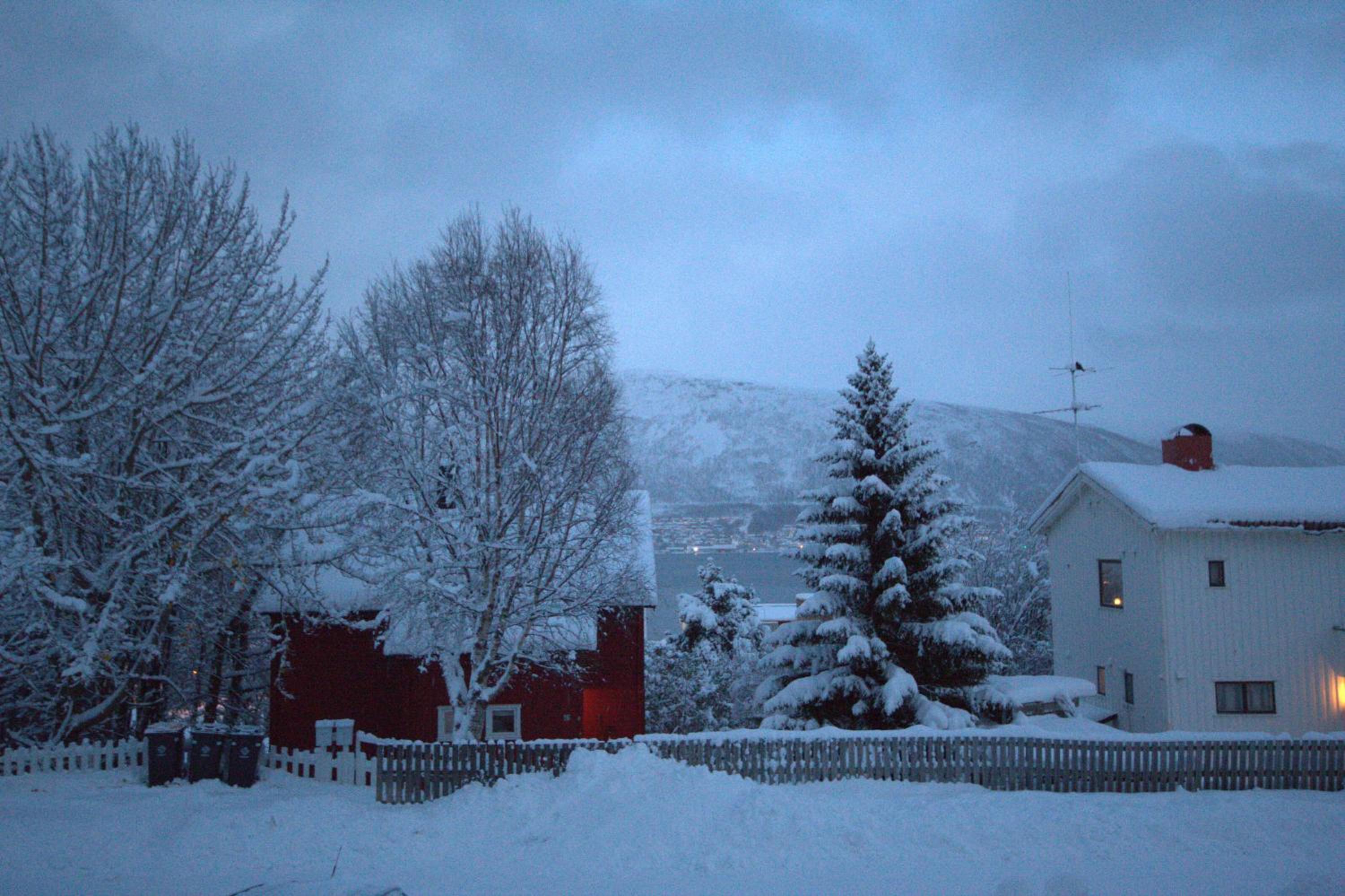 Photo 45