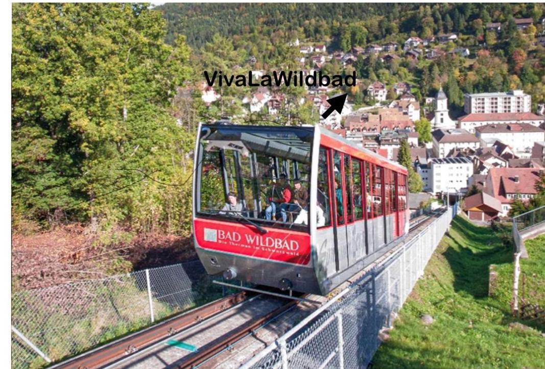Viva la Wildbad