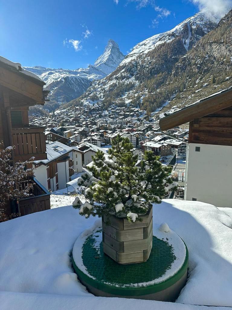 Apartment Lindi- inspiring place with view over Zermatt