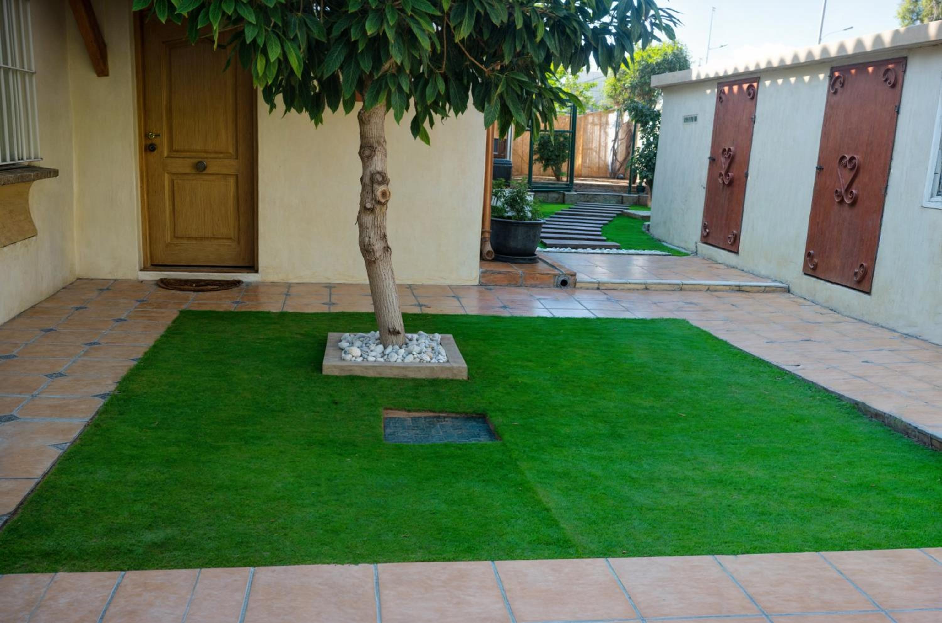 Photo 46