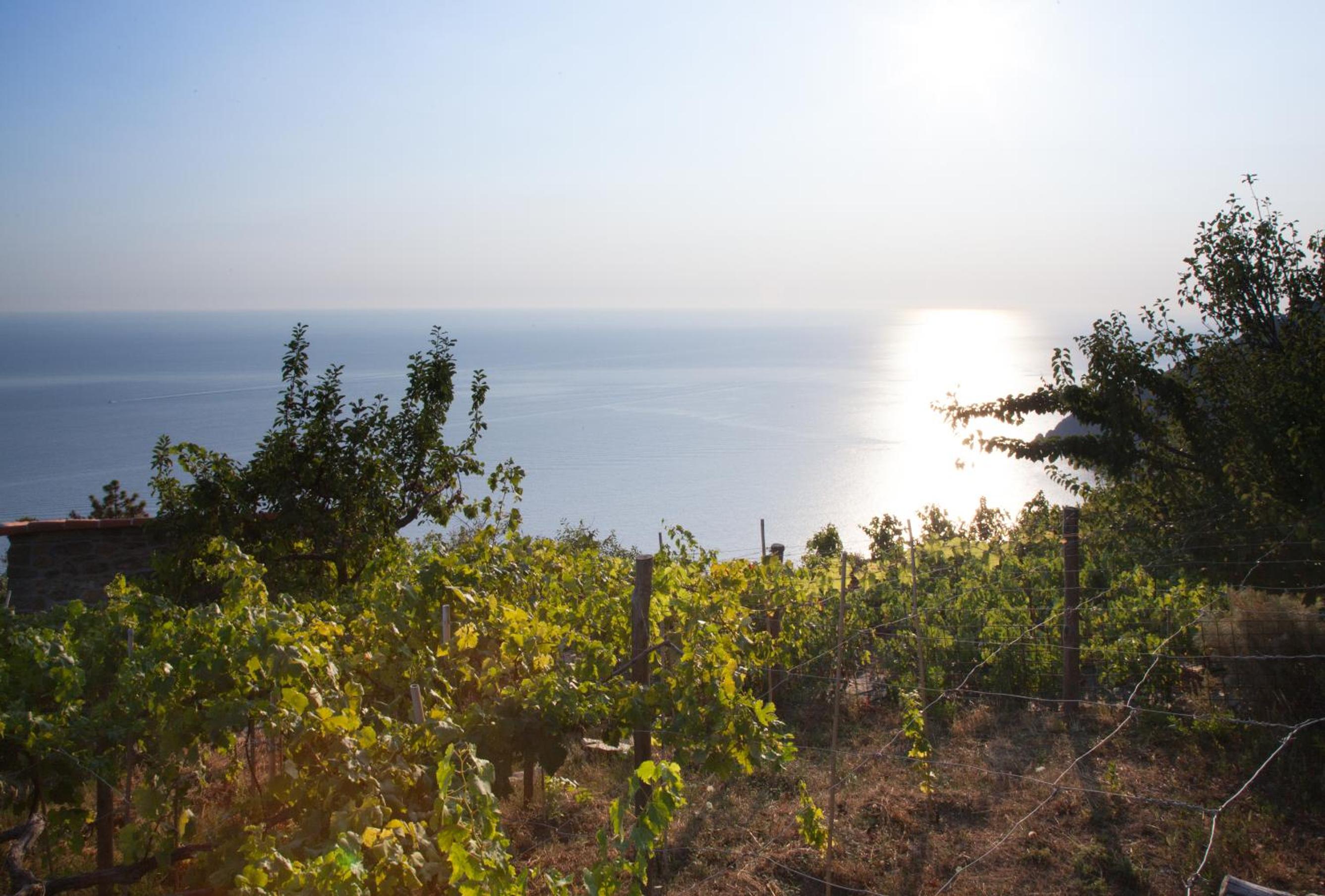 Il Nettare Agriturismo view 2