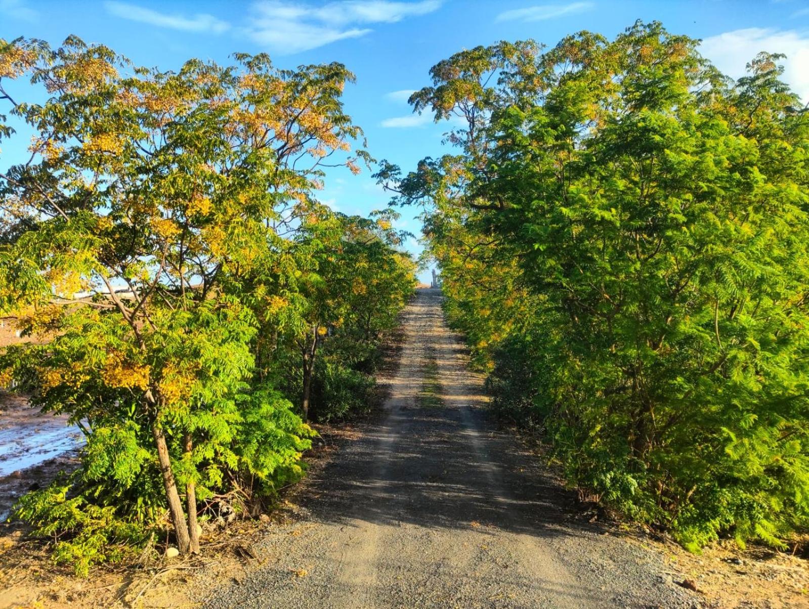 Rancho-Carita