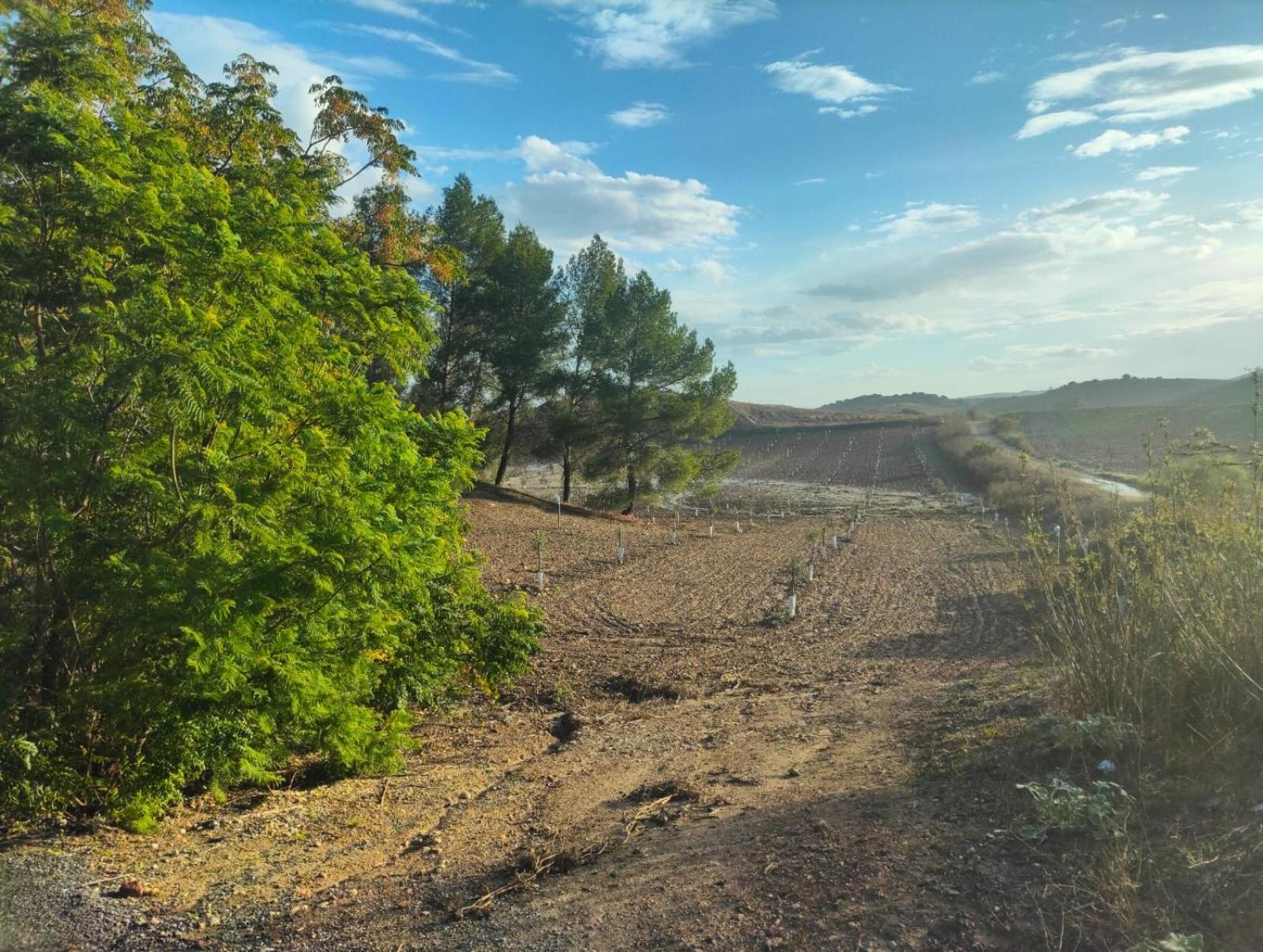 Rancho-Carita