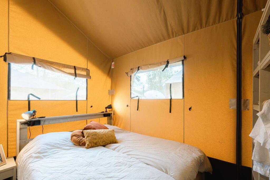 Safari Lodges Premium view 2