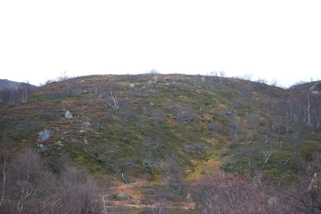Flott hytte på Smølåsen Tjørhom view 3