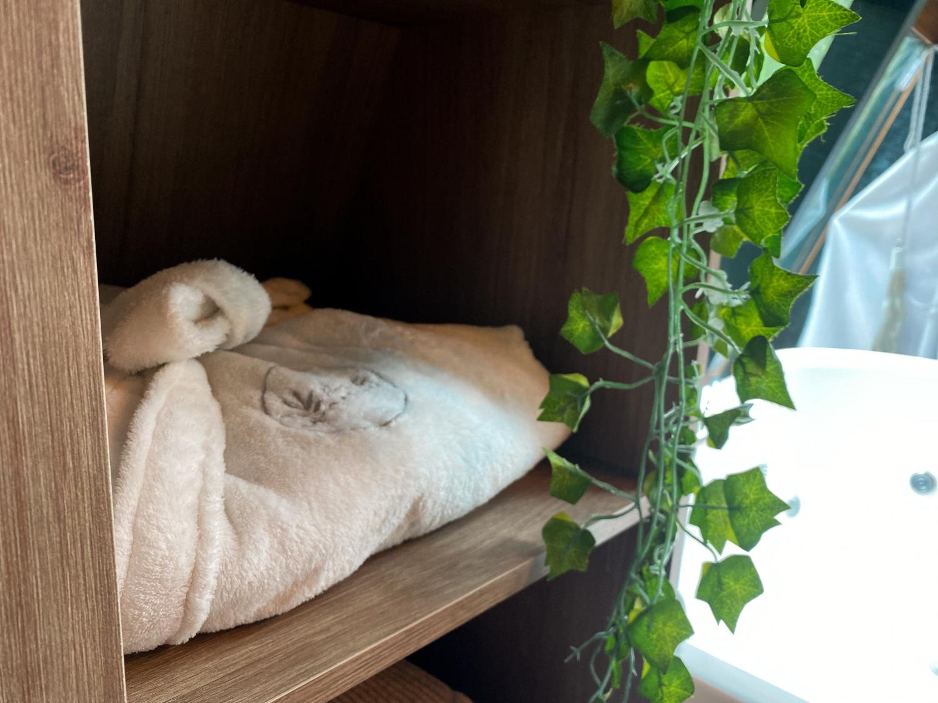 Cabana com hidromassagem na montanha