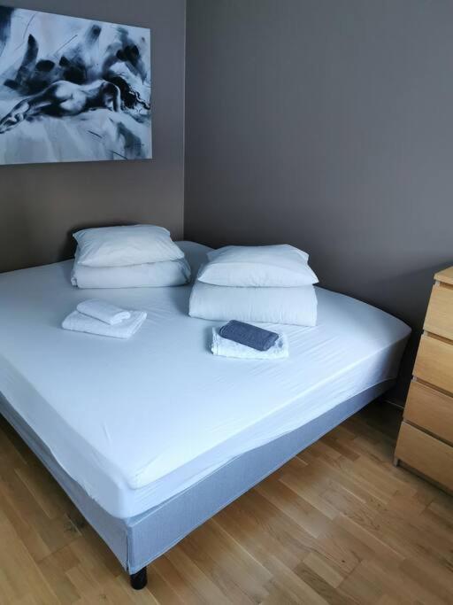 Funkelia 4 rooms Apartament near Ski senter view 4