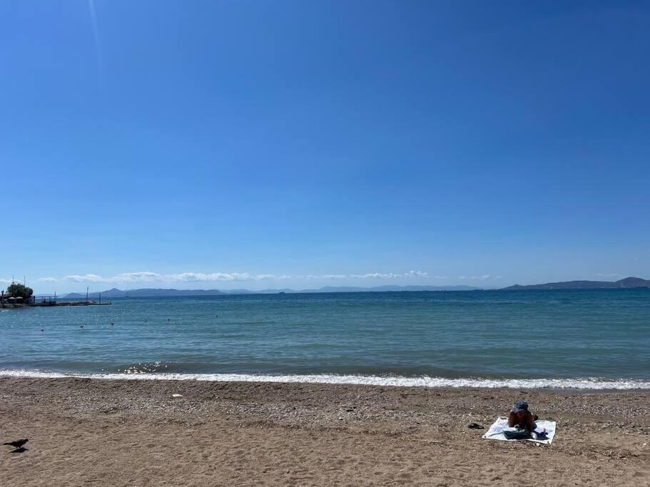 Enjoy The Athens Riviera!
