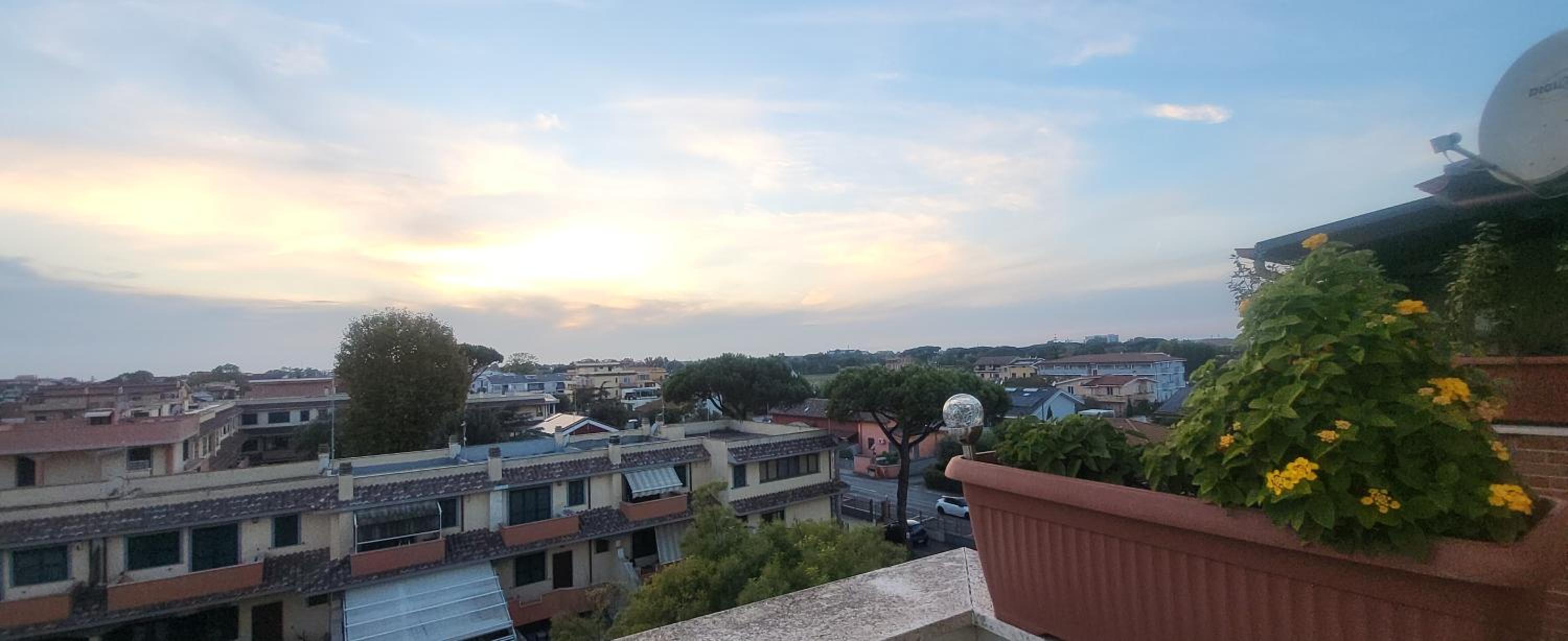 MiraSole