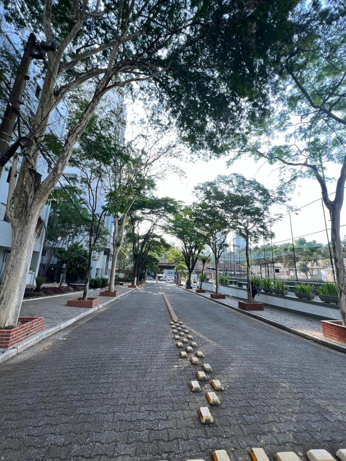 Amazonas, IBC, Aeroporto Congonhas, Expo Transamerica, PQ da Monica,, PNE, THE TOW, LOLLA PALLUZA