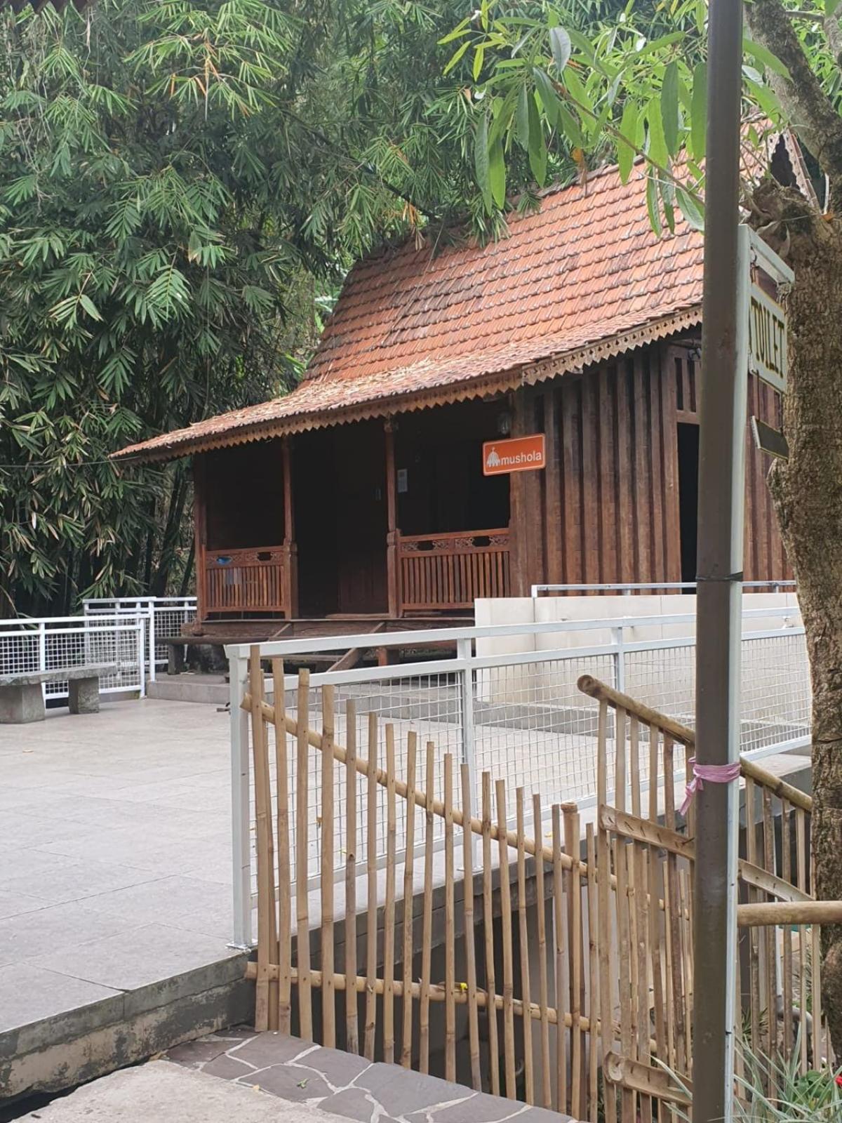 Villa Fira Balsam view 3