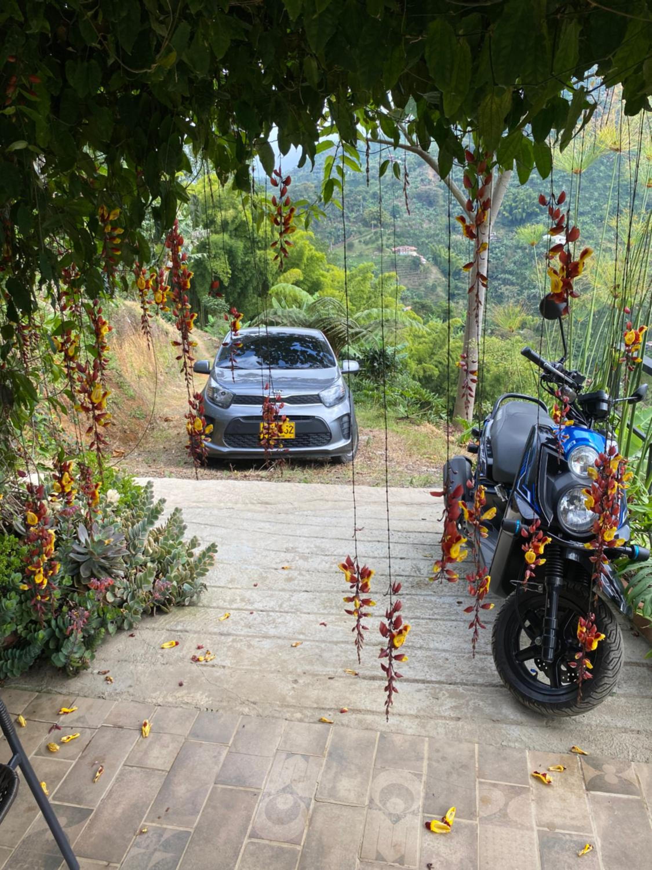 Montecafé Jardín