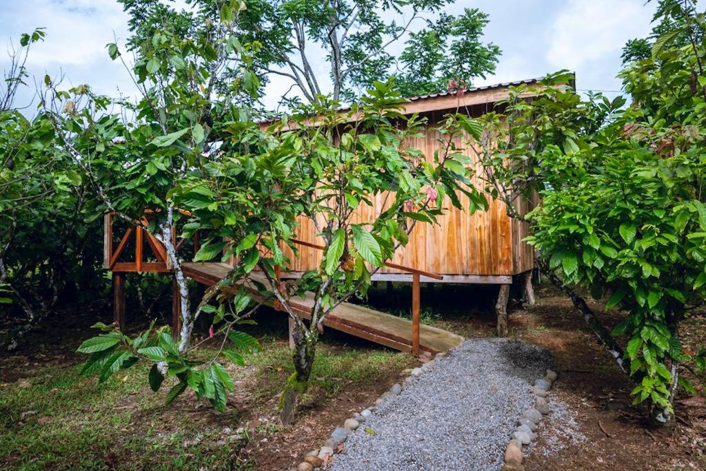 Río Celeste, Cacahua Lodge