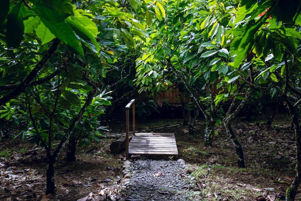 Río Celeste, Cacahua Lodge