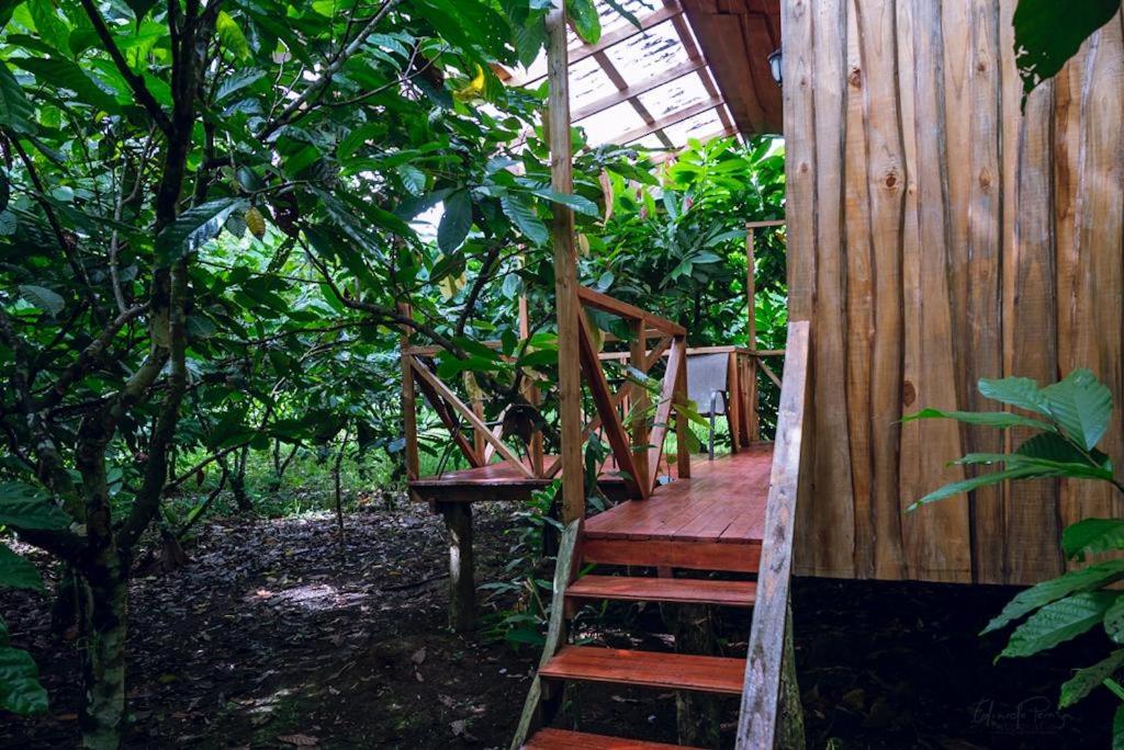 Río Celeste, Cacahua Lodge