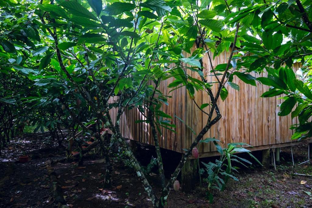 Río Celeste, Cacahua Lodge