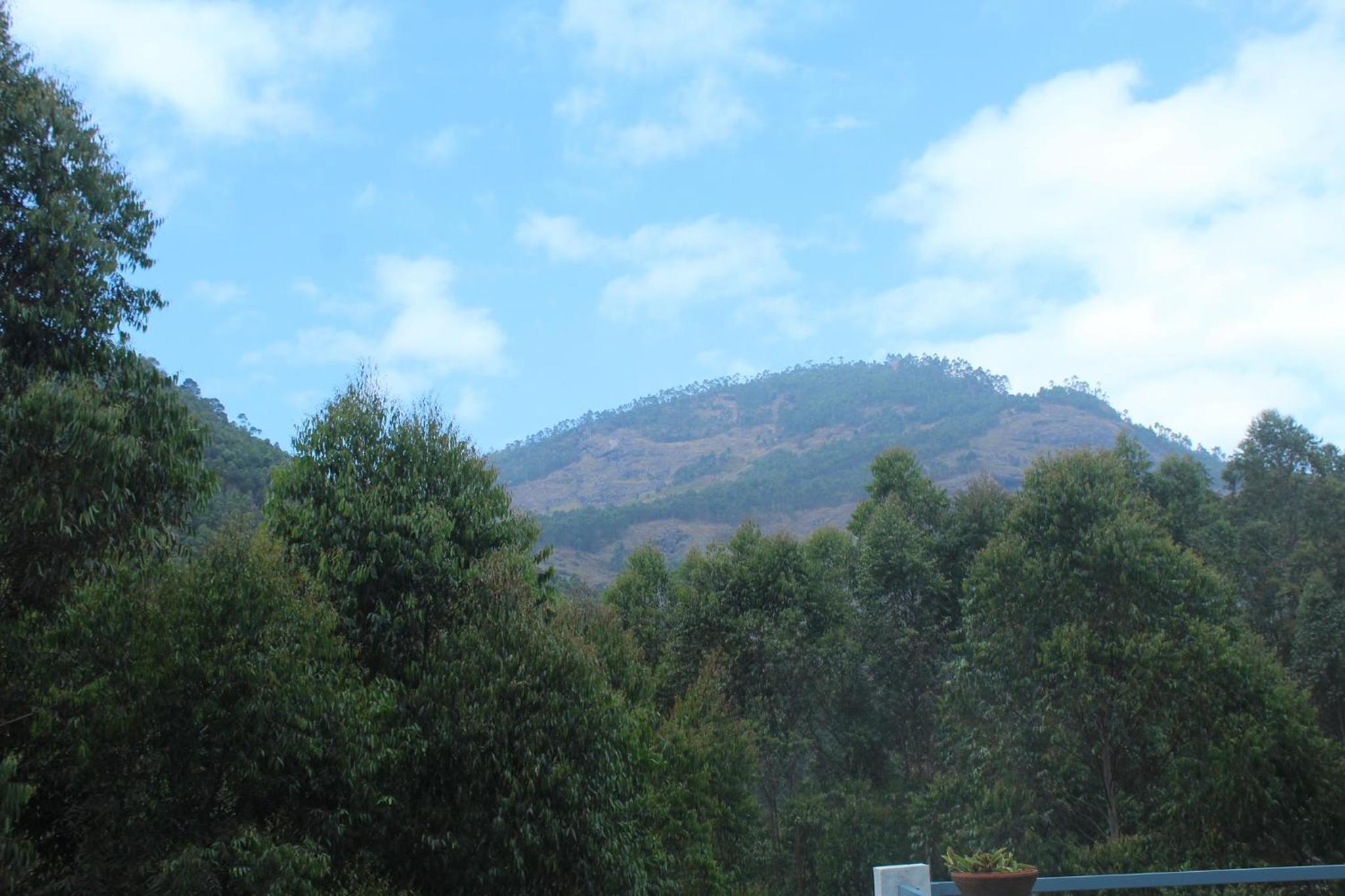 Photo 40