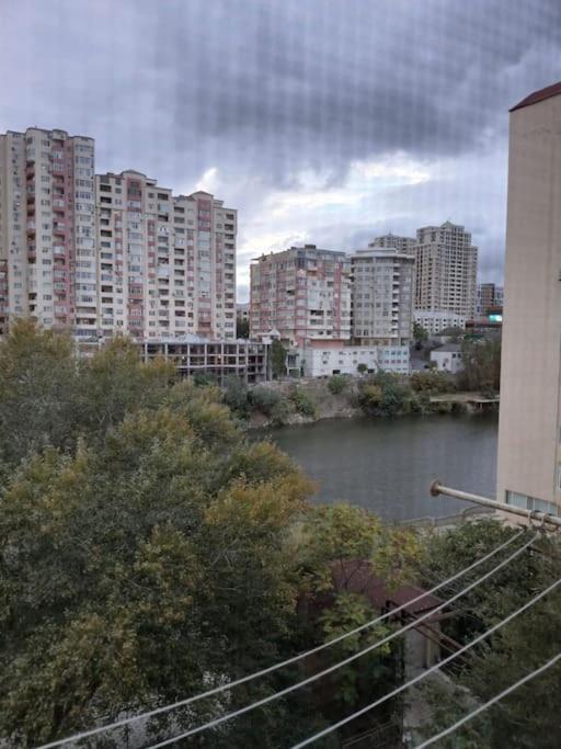 Lake View Apartment