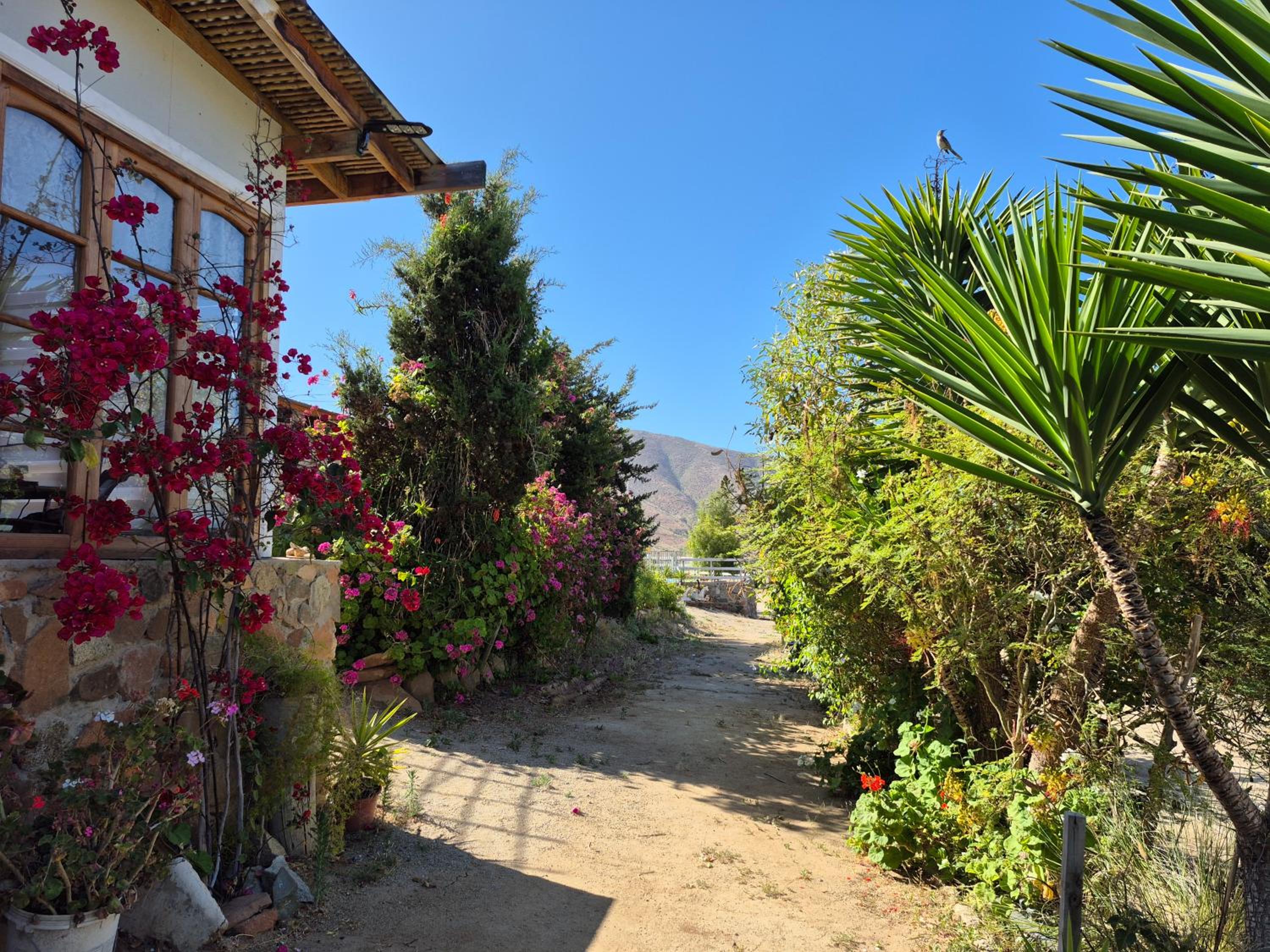 Hostal Los Almendros