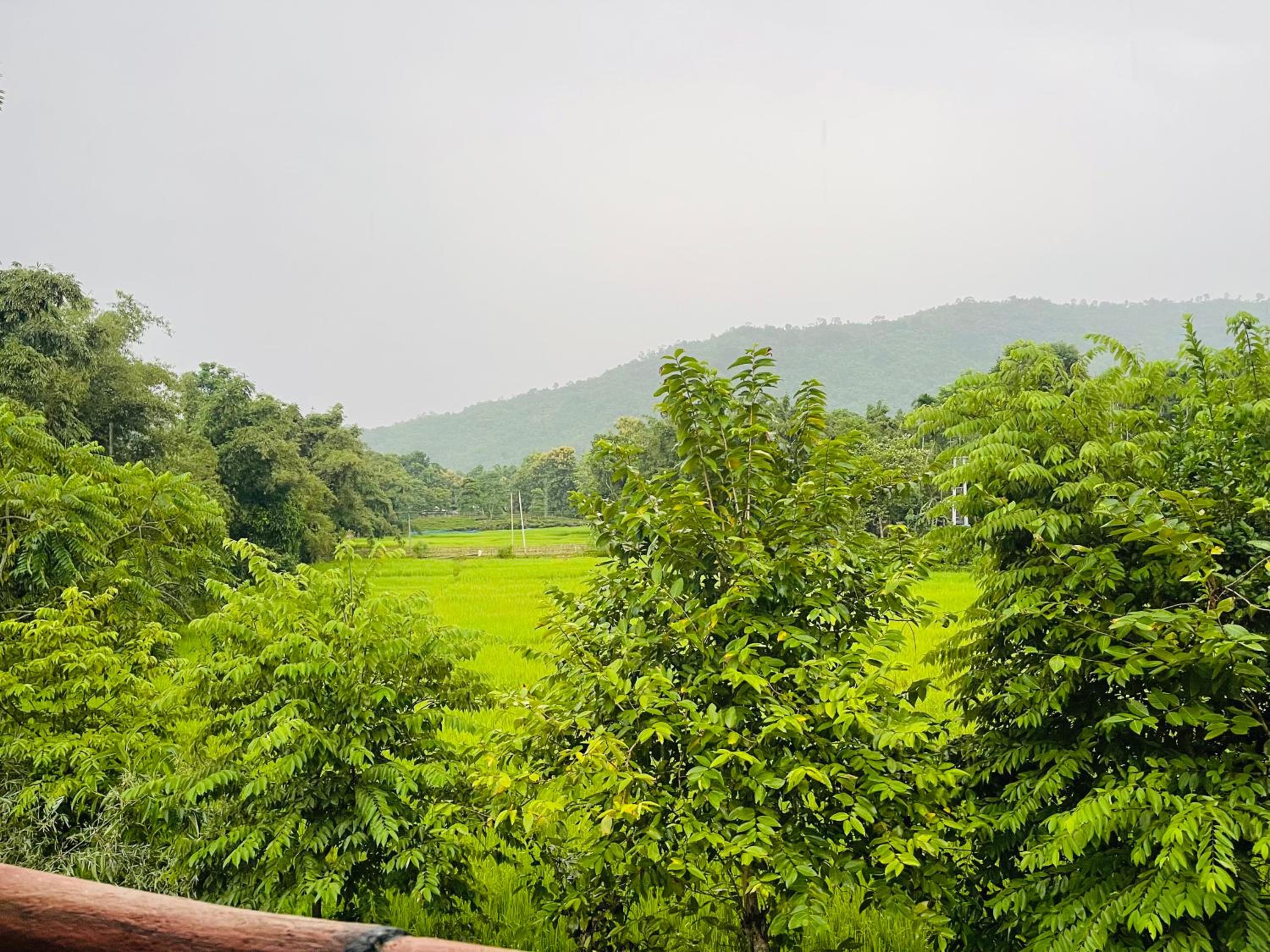 Changmai's Inn view 5