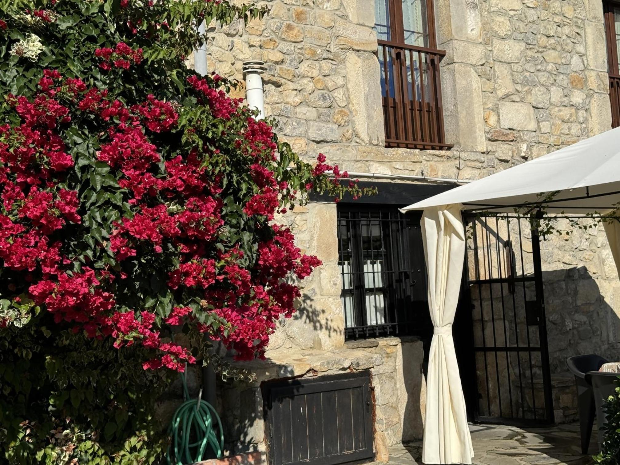 Photo 37